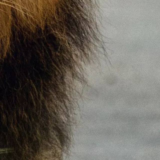 2017年度网络流行语