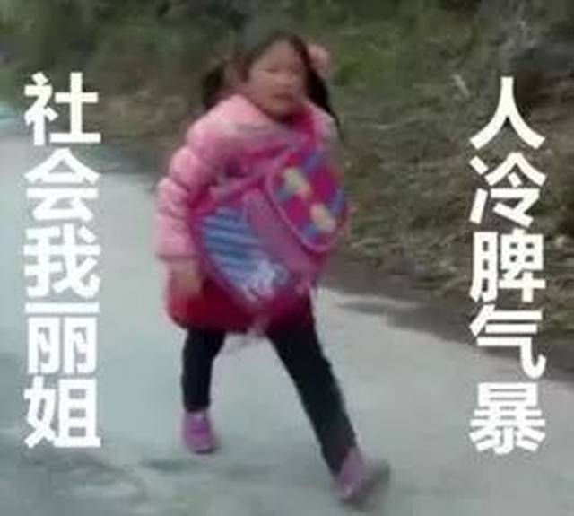 2017年度网络流行语