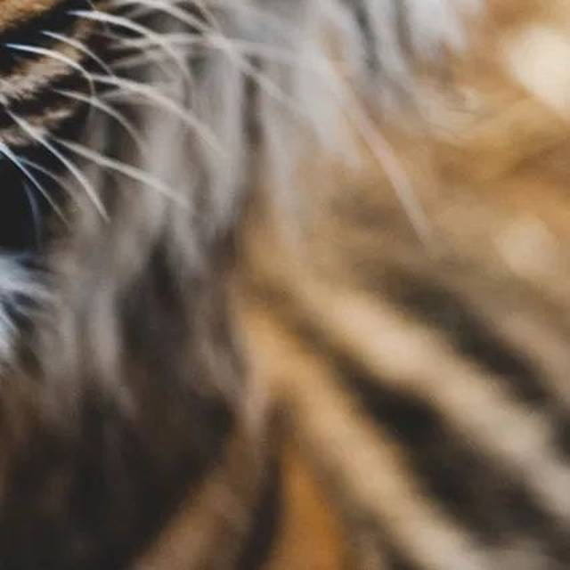 2017年度网络流行语