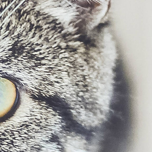 2017年度网络流行语