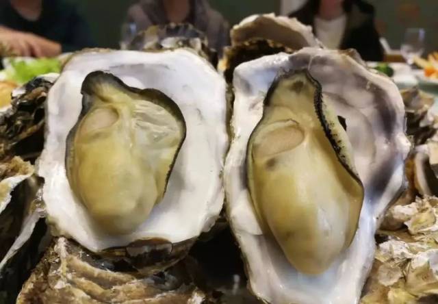 吃牡蛎，得高“锌”！ 第三届乳山（国际）牡蛎