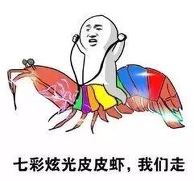 2017年度网络流行语