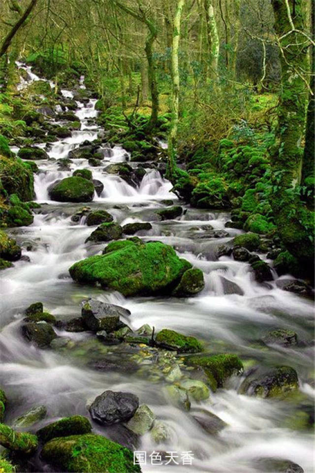 小河淌水,美到心醉!