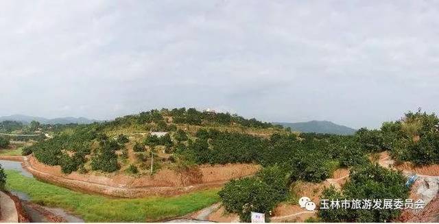 现代农业科技特色小镇(玉东新区茂林镇 中医药特色文化小镇(玉州区