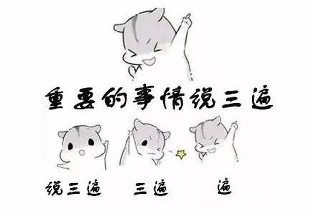 2017年度网络流行语