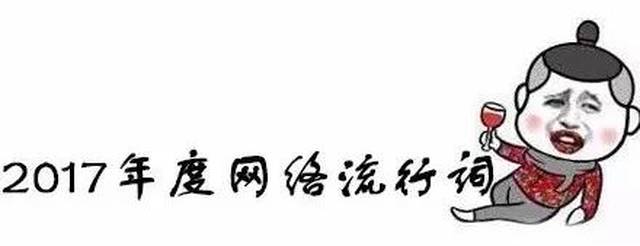 2017年度网络流行语
