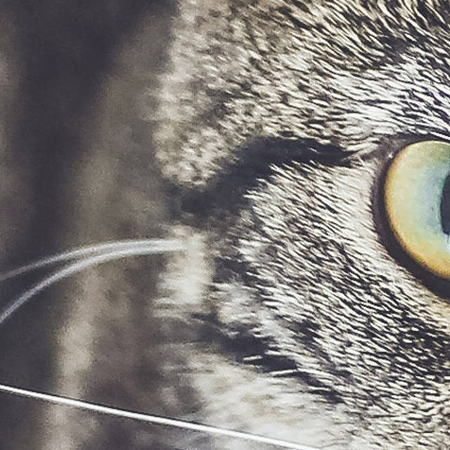 2017年度网络流行语