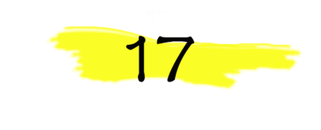 2017年度网络流行语