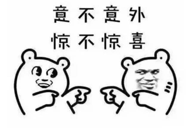 2017年度网络流行语