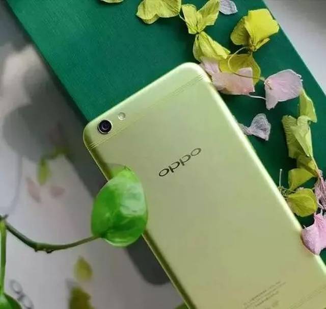 2017年度网络流行语