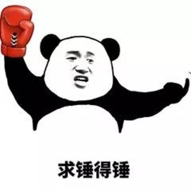 2017年度网络流行语