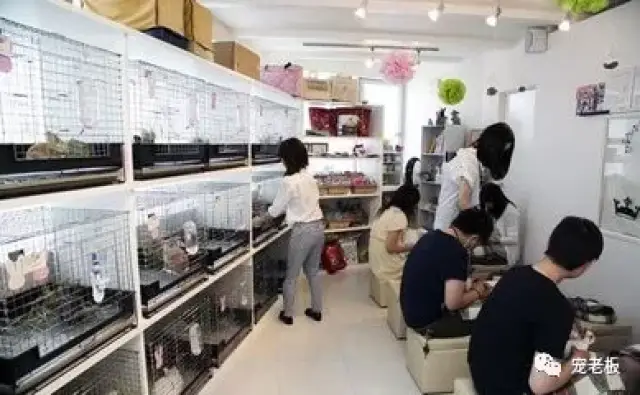 开元棋牌- 开元棋牌官网 - 开元棋牌APP下载5月电力主升浪开启！10家被严重低估的唯一性龙头（建议收藏）
