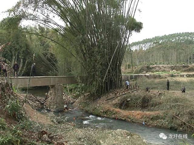 扎实推进"第一公里桥"惠民工程 龙圩区大坡镇马王村沙柏桥工程开工