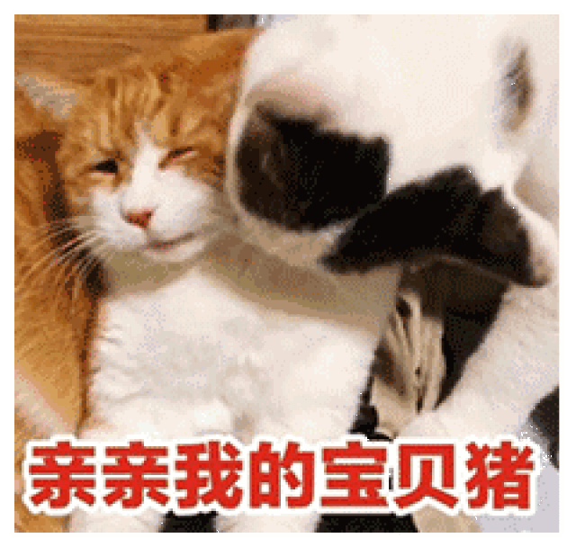 要亲亲,要抱抱,还要举高高?