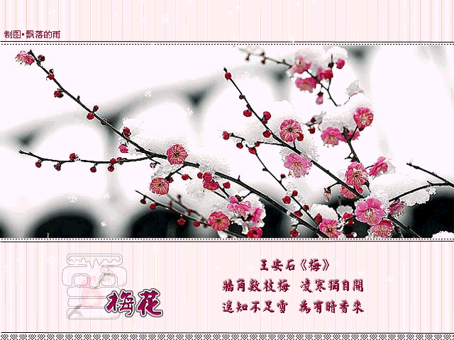 天气转暖,这些地方的梅花终于要开了!赏梅地,即将美爆