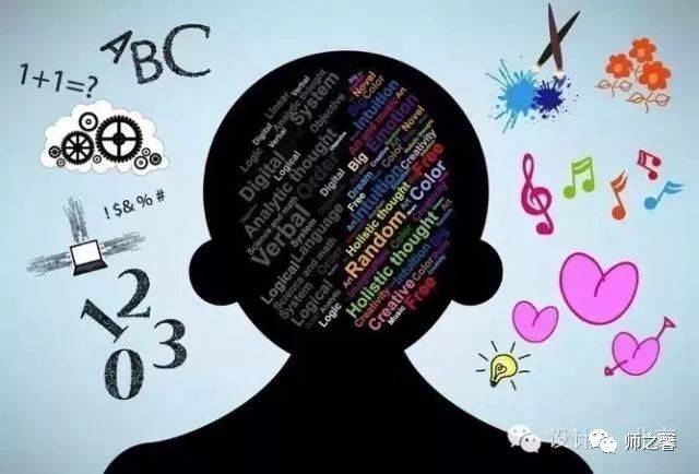 大脑结构影响思维方式?神经成像揭示人脑个体差异图片