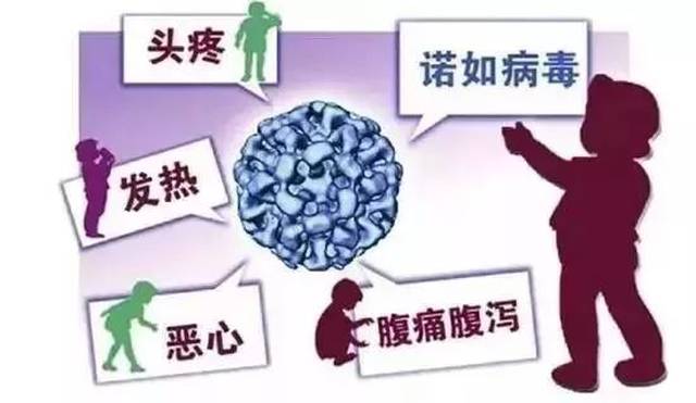 水果慎吃！厦门女子拉肚子15次！小孩感染病毒！都因为它！