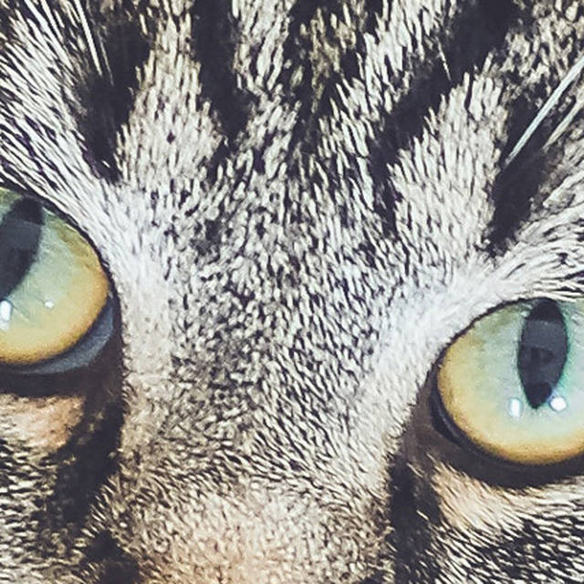 2017年度网络流行语