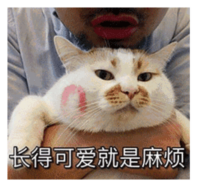 要亲亲,要抱抱,还要举高高?