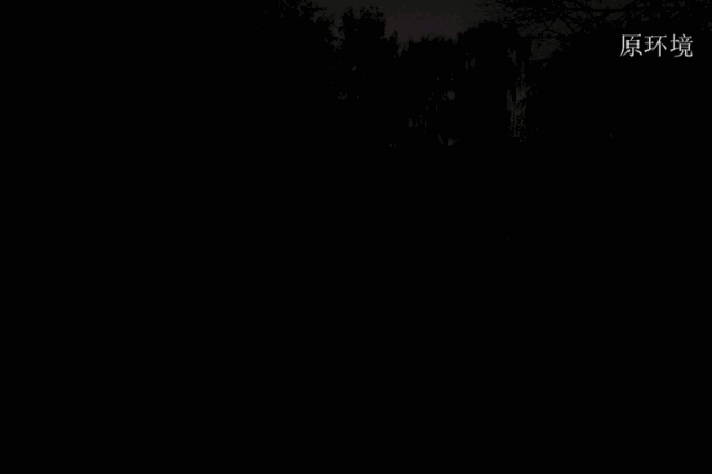 640_426