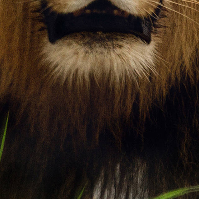 2017年度网络流行语