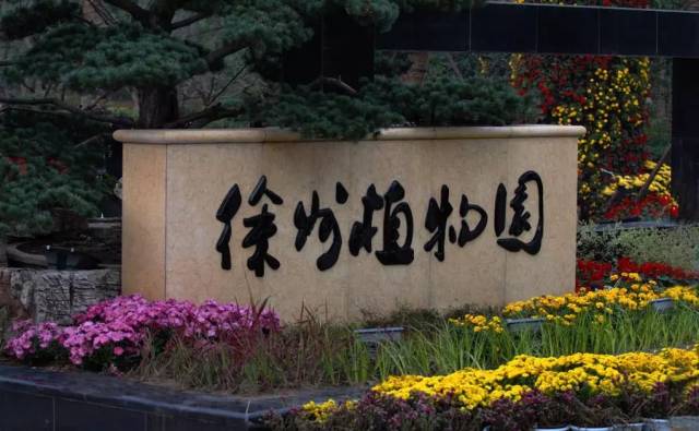 多家综+5条地铁+九里山规划!盼了多年,徐州北区终于苦尽甘来
