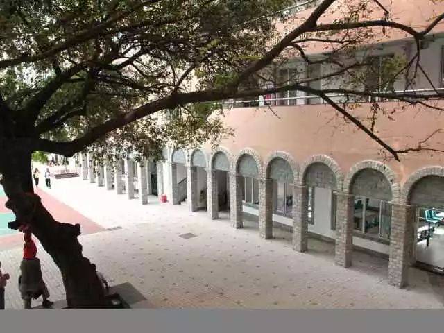 美！罗湖这些学校大变样，还有12所学校即将华丽转身……