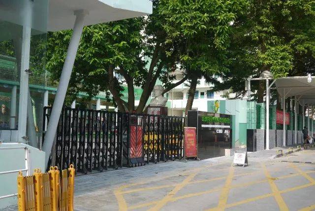 美！罗湖这些学校大变样，还有12所学校即将华丽转身……