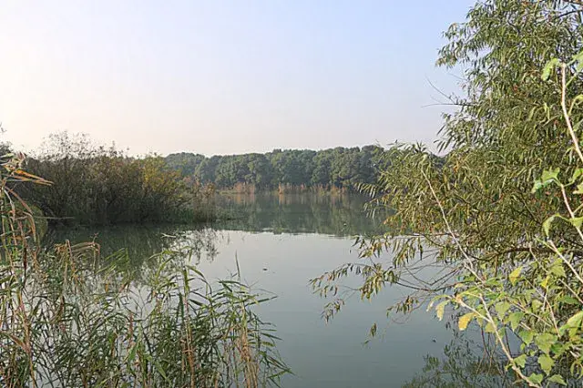 它西连铜坑港,接纳万顷浩瀚的太湖水,穿越虎山桥与浒光河相连.