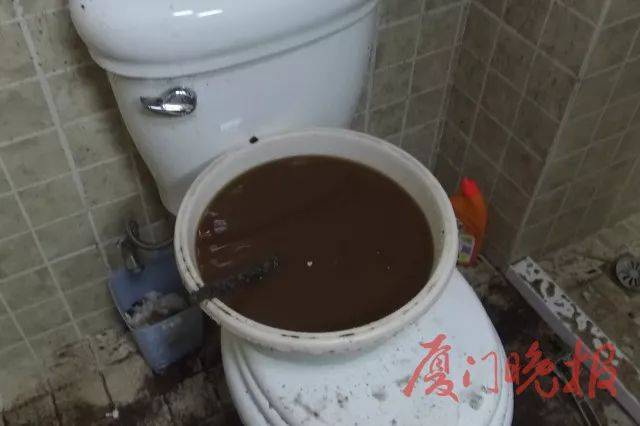 2055547d30df4badac0f7f146ac65b50.jpeg