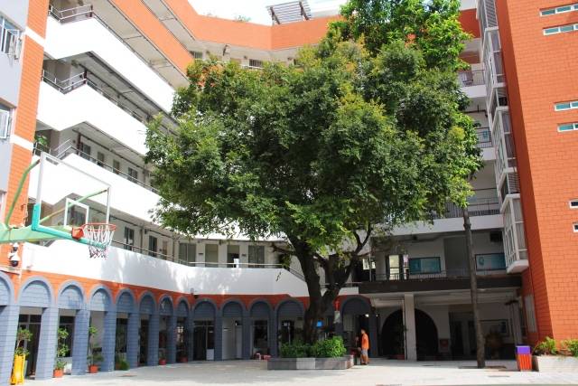 美！罗湖这些学校大变样，还有12所学校即将华丽转身……