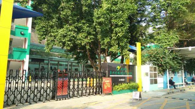 美！罗湖这些学校大变样，还有12所学校即将华丽转身……