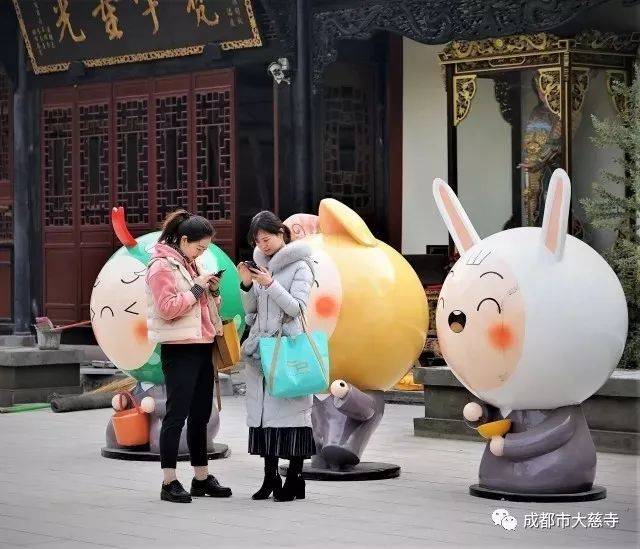 超萌！12生肖萌宝亮相大慈寺，快来寻找你的小代表！