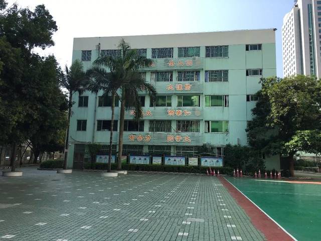 美！罗湖这些学校大变样，还有12所学校即将华丽转身……