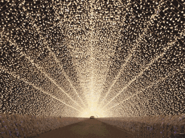 裸眼3d,全息投影,「樱园の光」2018首届灯光旅游季