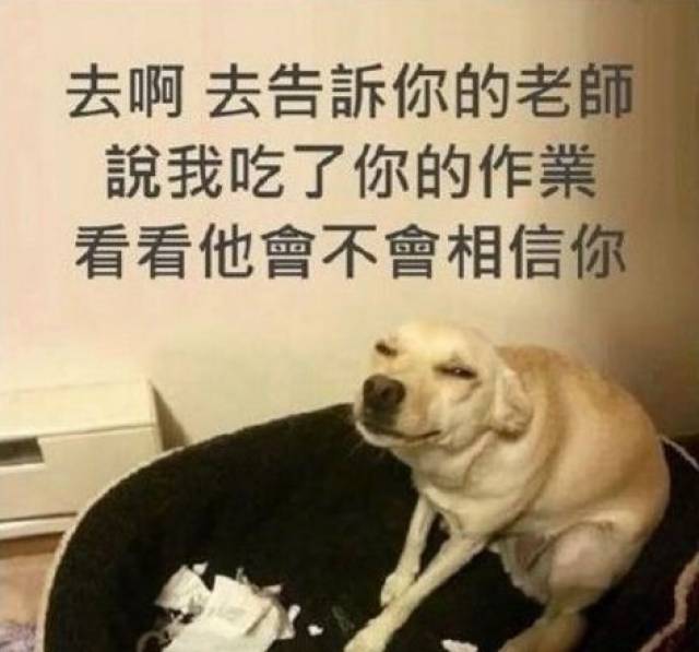 家中着火!绵阳熊孩子欢呼:太好了,我把书包甩进去了!