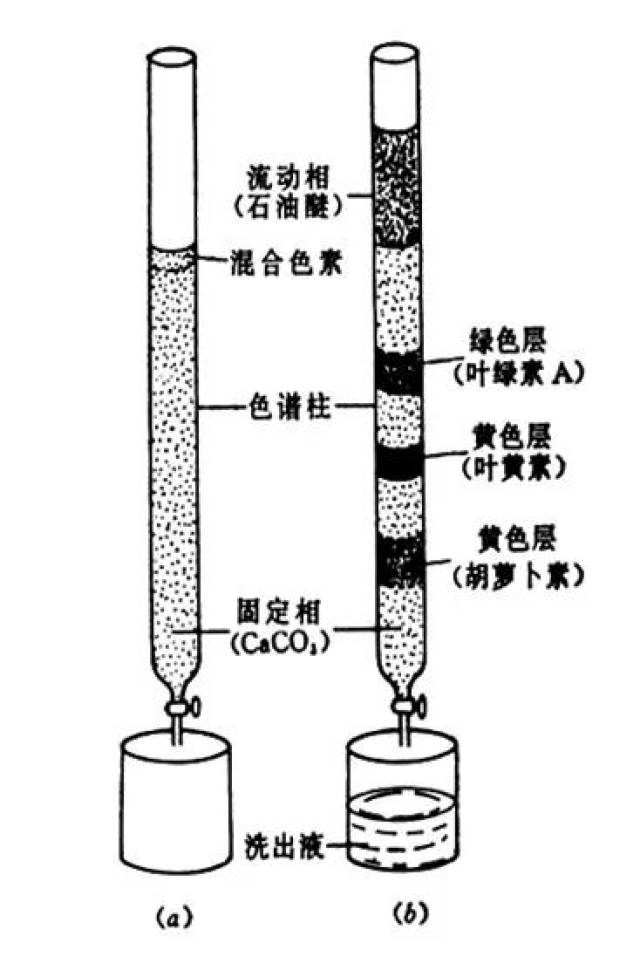 色谱分析法基础知识