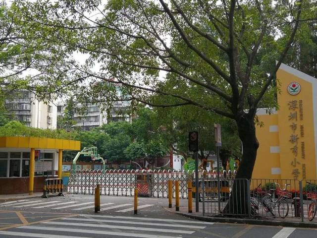 美！罗湖这些学校大变样，还有12所学校即将华丽转身……