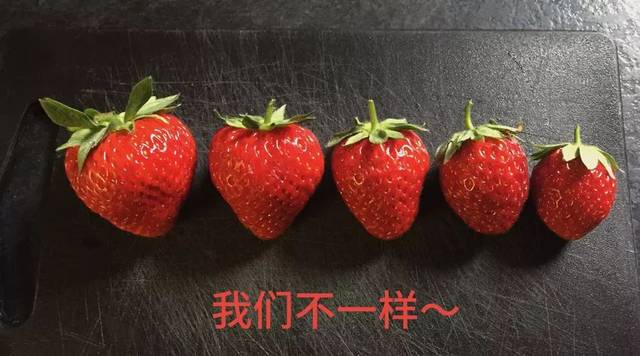 a6b3da4833494c20b63c3ae7c0620607.jpeg