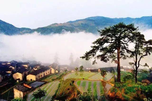 以元,明时期的石块石道为基础,是旧时宣平南乡至松阳县三都乡的官道