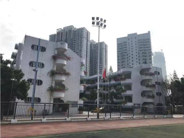 美！罗湖这些学校大变样，还有12所学校即将华丽转身……