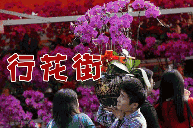 过年在不在广州过,真的那么重要吗?