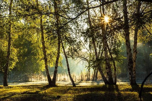 经典音乐:美好的一天,从清晨开始