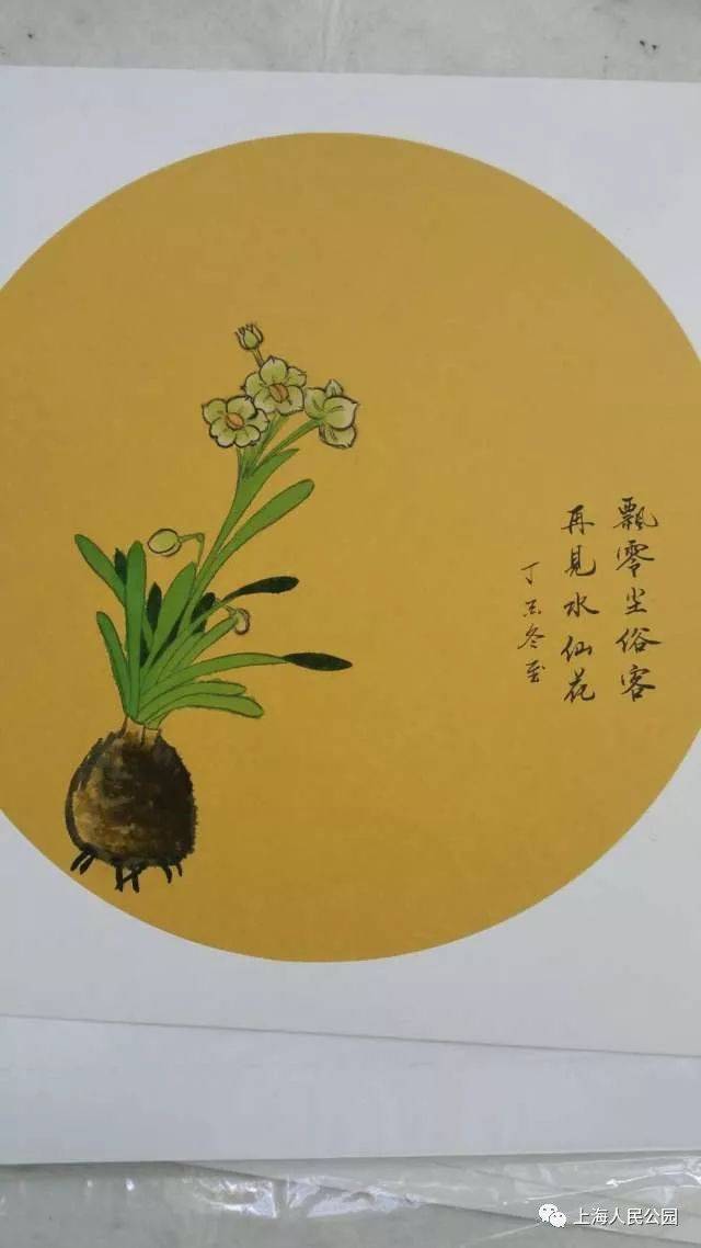 国画水仙花鉴赏