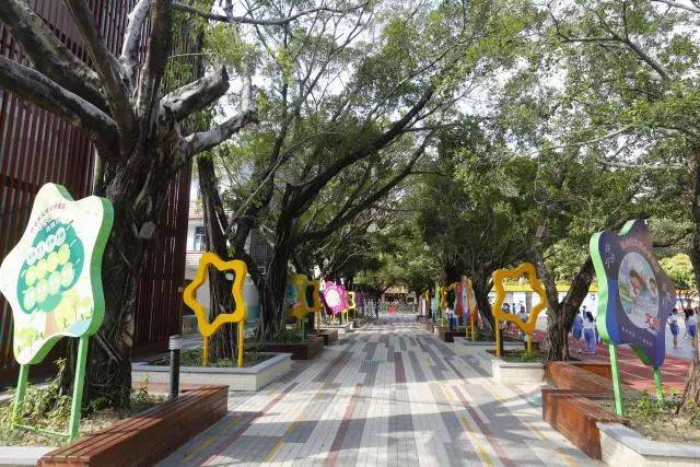 美！罗湖这些学校大变样，还有12所学校即将华丽转身……