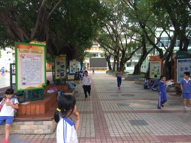 美！罗湖这些学校大变样，还有12所学校即将华丽转身……