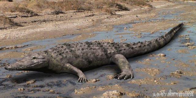 裂头鳄属dibothrosuchus 栖息地:东亚 历史时期:早侏罗纪(1.