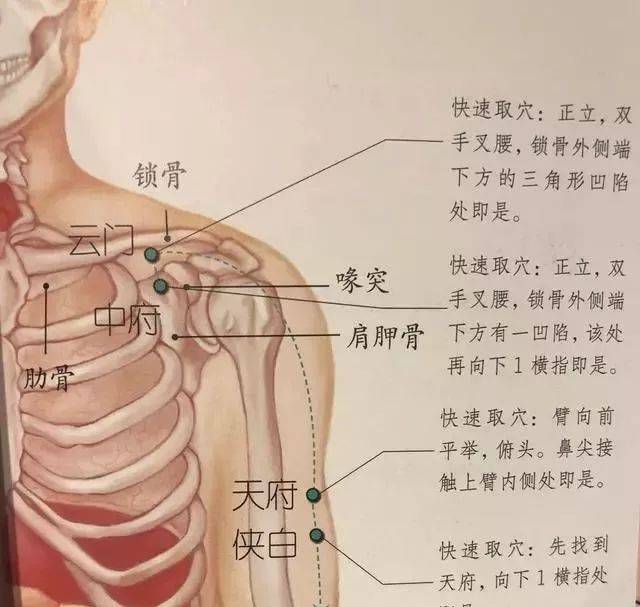 穴位养生|点揉云门穴,理气止痛,肺气足