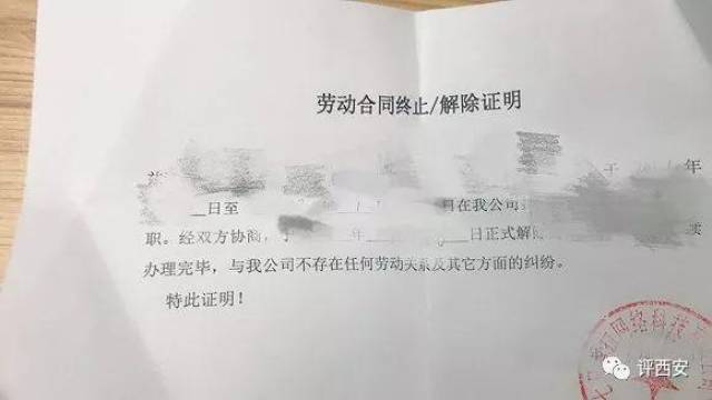 由知情人士提供七只考拉内部流出的离职证明