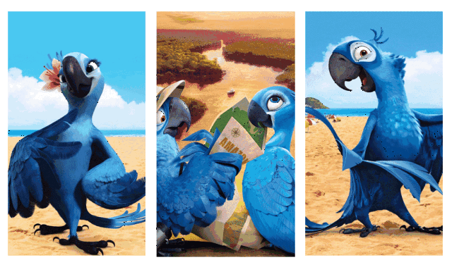 在电影《里约大冒险》中,会说话的蓝色鹦鹉布鲁给很多人留下了深刻